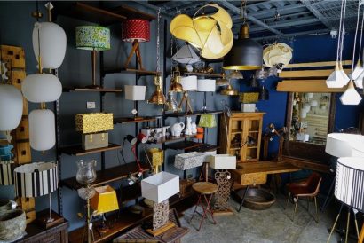 THE PURPLE TURTLE GO NATIVE 2