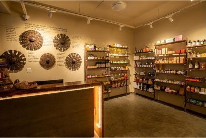 THE PURPLE TURTLE GO NATIVE 3