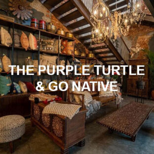 THE PURPLE TURTLE GO NATIVE