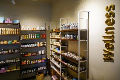 THE PURPLE TURTLE GO NATIVE 4